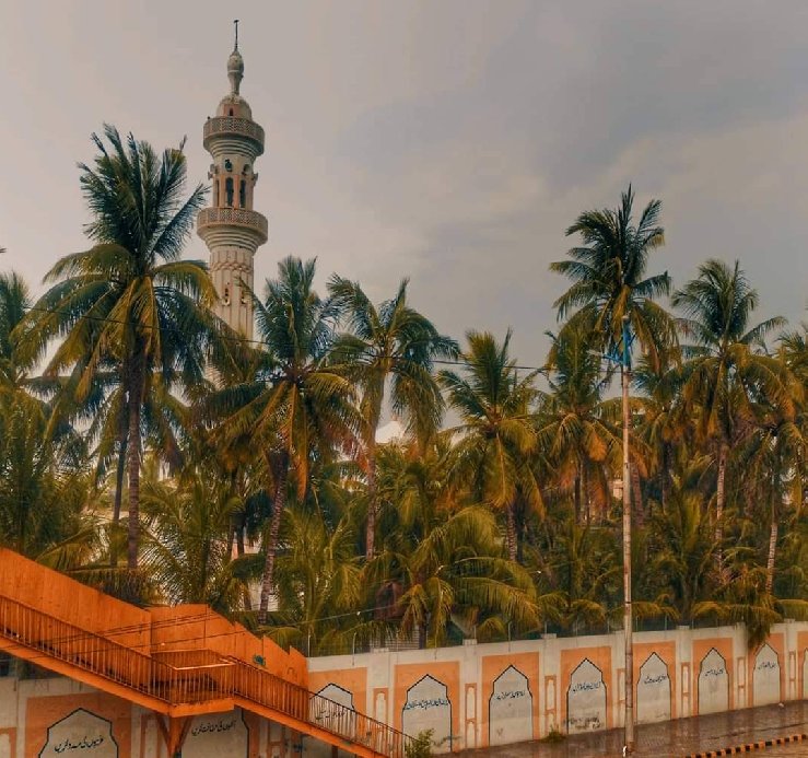 Bait ul Mukarram minaret through coconut palms
